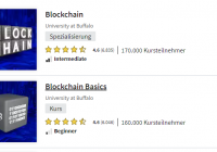 University at Buffalo