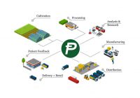 Potcoin Potcoin